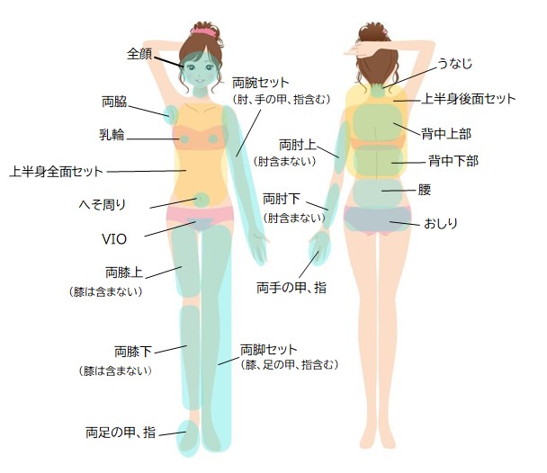 医療用レーザー脱毛の範囲